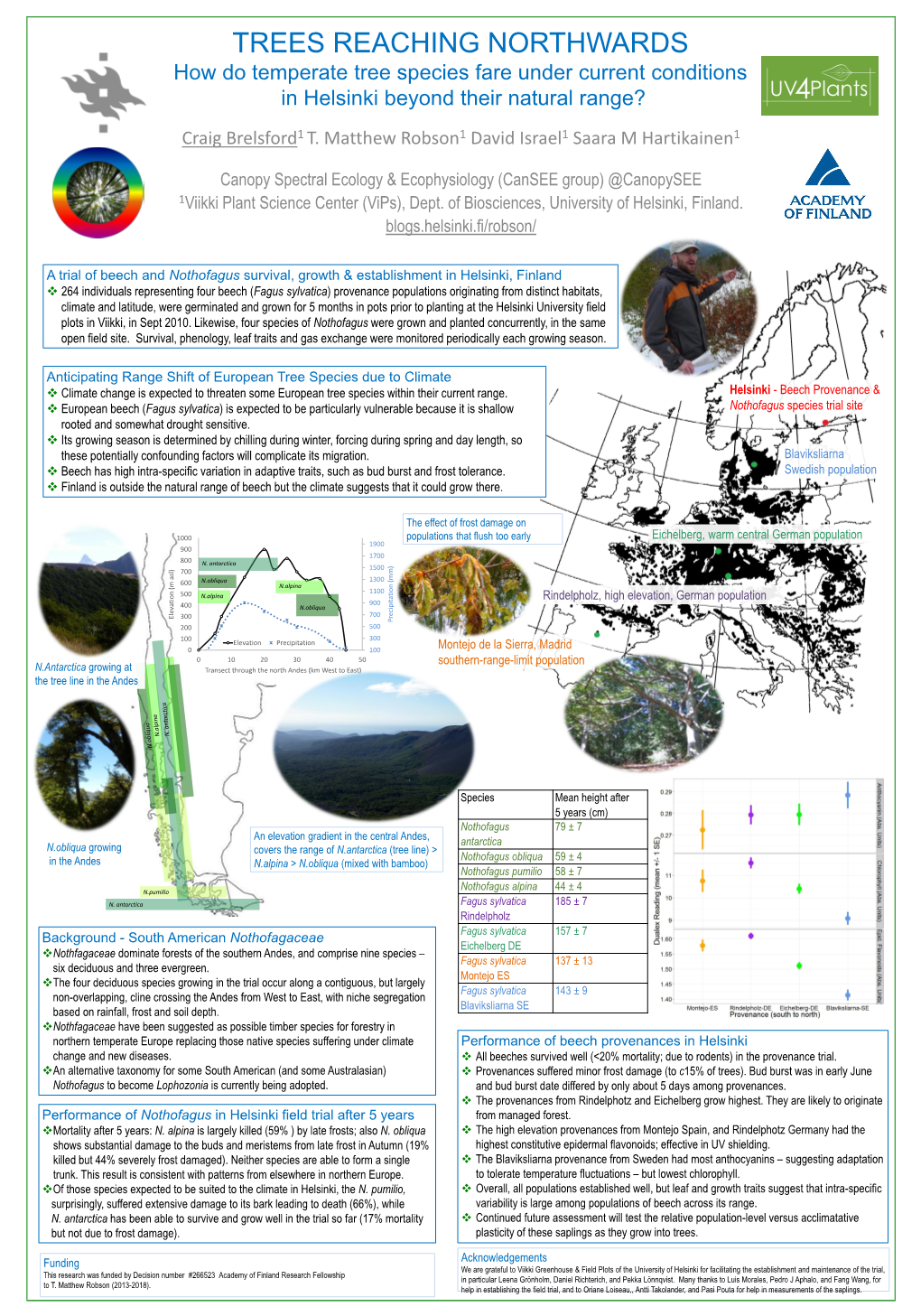 How Do Temperate Tree Species Fare Under Current Conditions in Helsinki Beyond Their Natural Range?