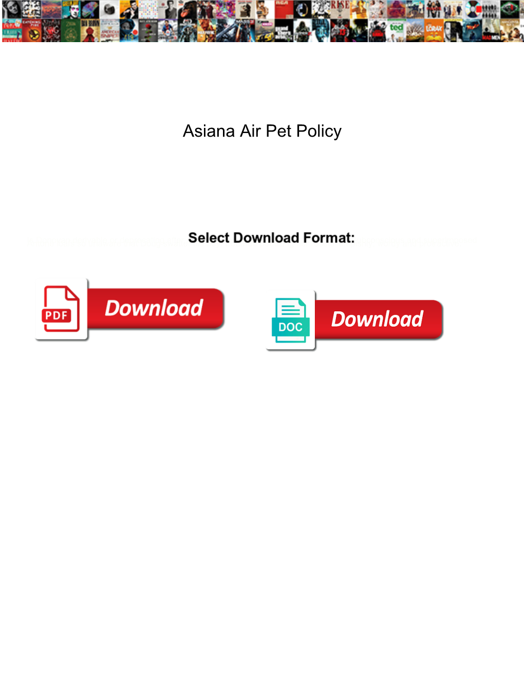 Asiana Air Pet Policy