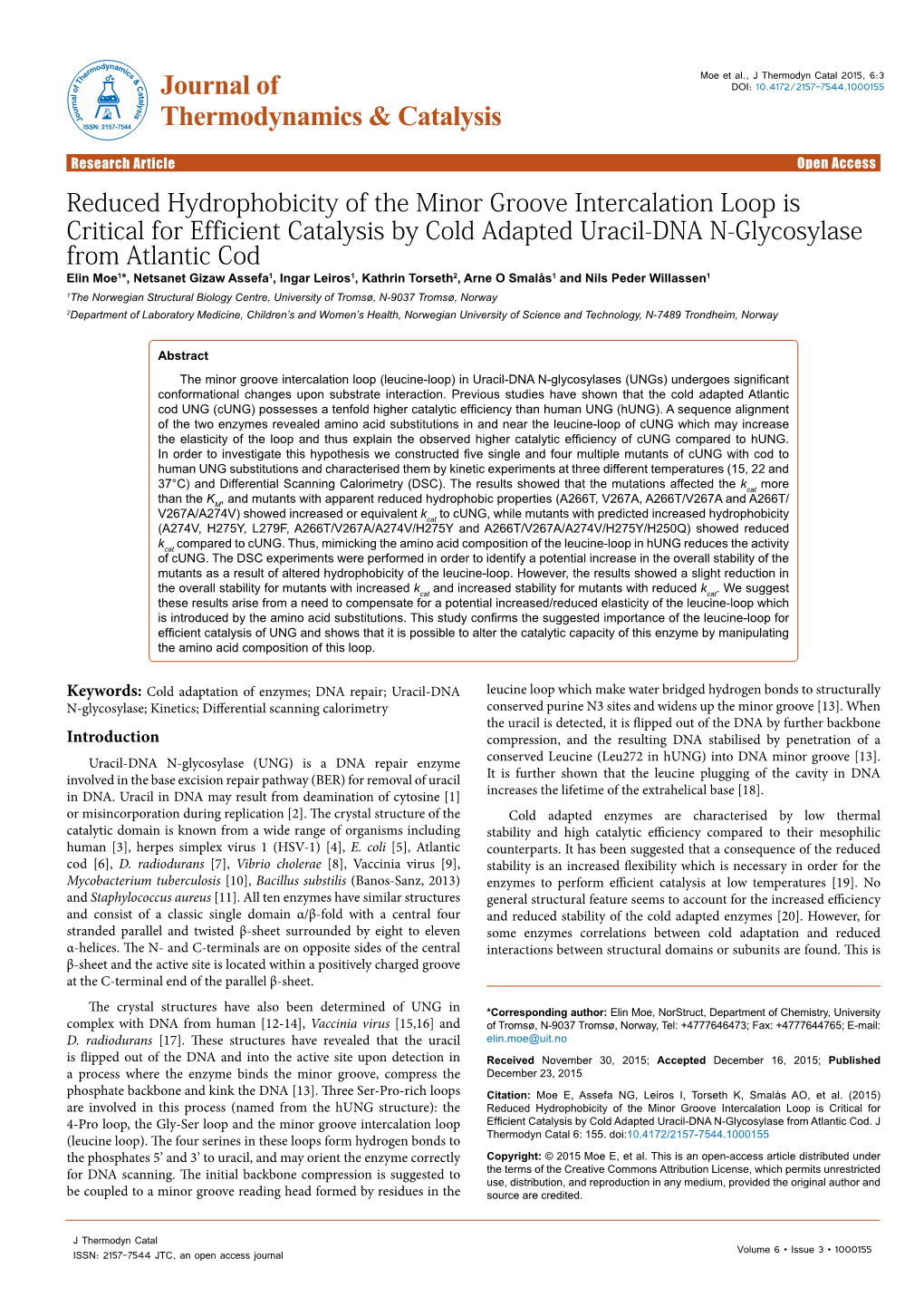 Reduced Hydrophobicity of the Minor Groove Intercalation Loop Is Critical