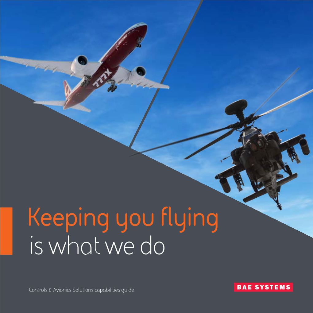 Controls & Avionics Solutions