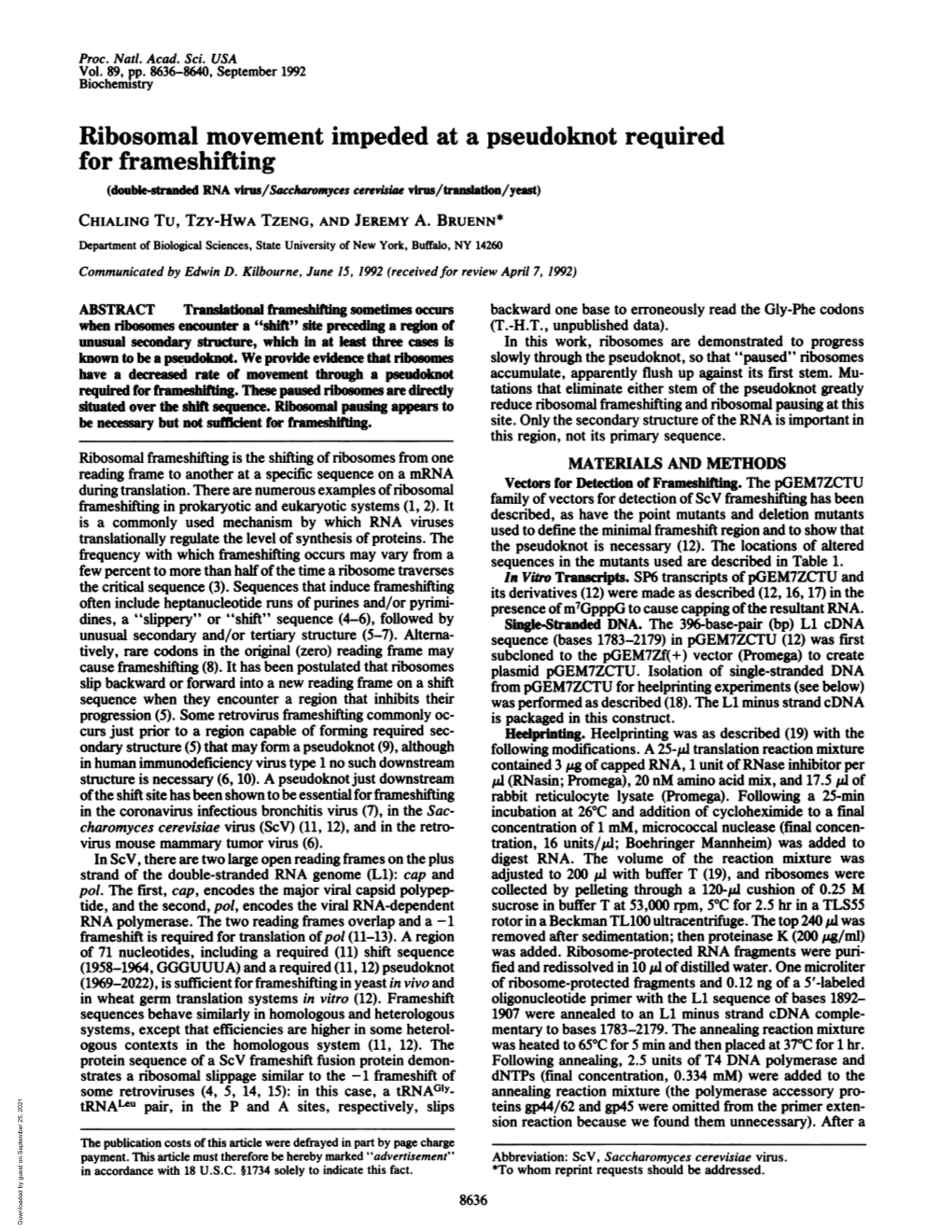 Ribosomal Movement Impeded at a Pseudoknot Required for Frameshifting