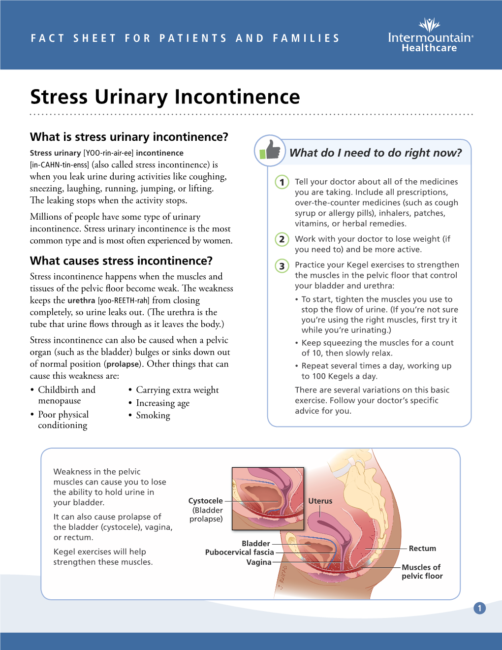 Stress Urinary Incontinence