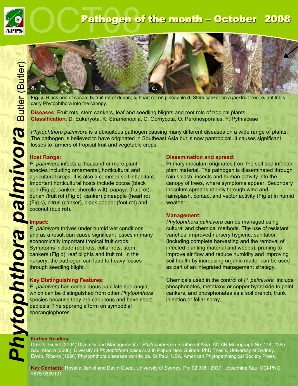 Phytophthora Palmivora OCT08 Durian Wilt), Papaya (Fruit Rot), Pod (Figa), Canker, Cherelle Important Horticultural Hosts Includecocoa (Black Agricultural Crops