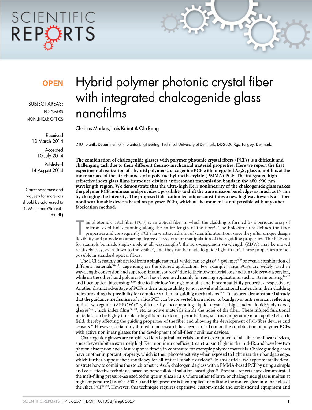 Hybrid Polymer Photonic Crystal Fiber with Integrated