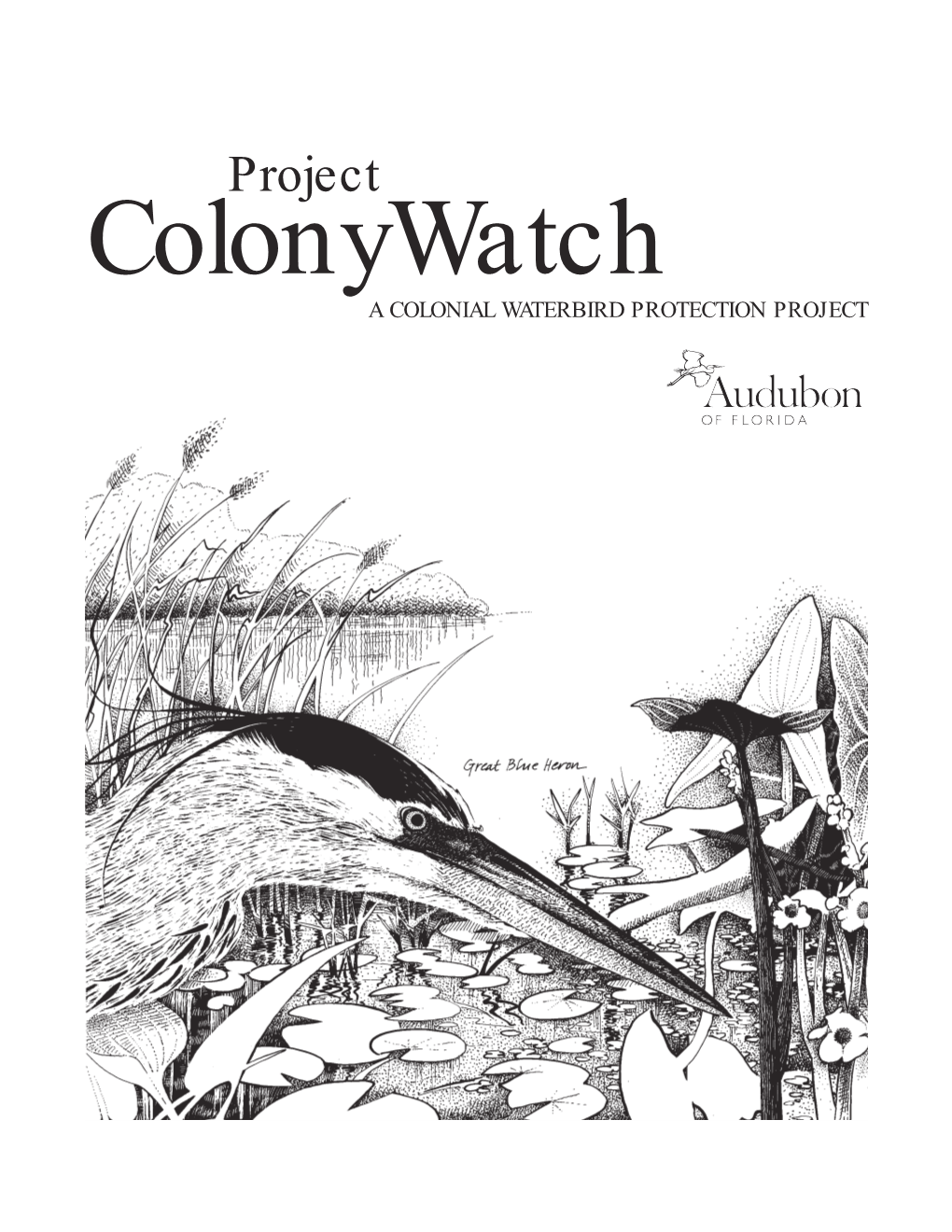 Project Colonywatch a COLONIAL WATERBIRD PROTECTION PROJECT Project Colonywatch Handbook Written by Richard T