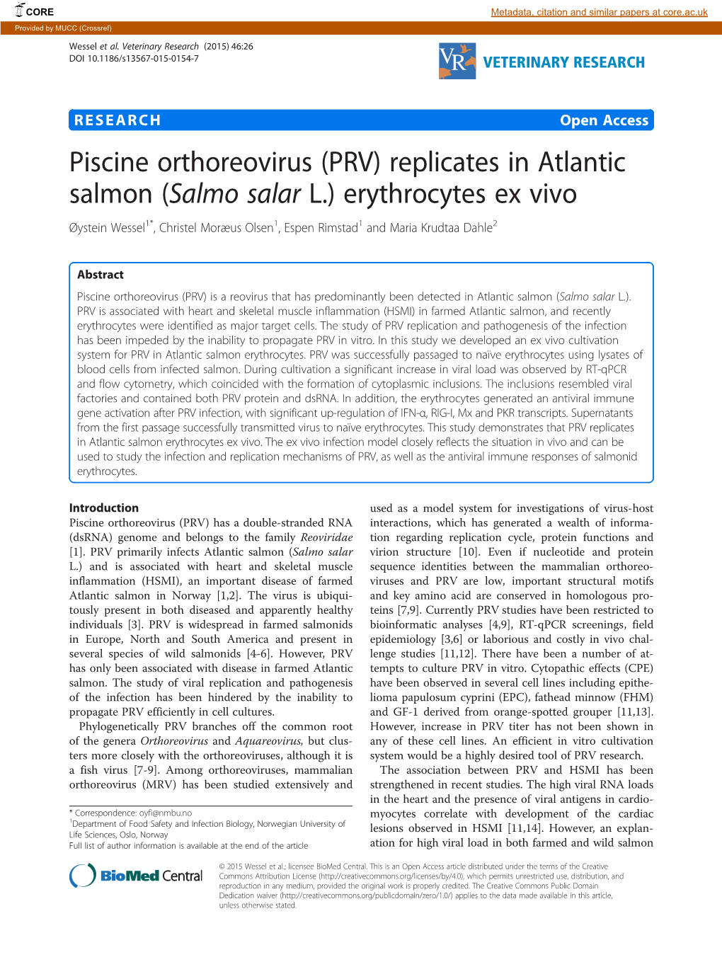 Piscine Orthoreovirus (PRV) Replicates in Atlantic Salmon