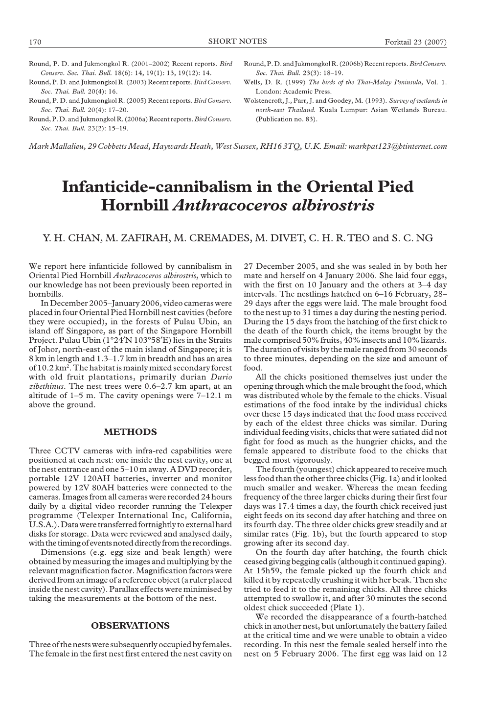 Infanticide-Cannibalism in the Oriental Pied Hornbill Anthracoceros Albirostris