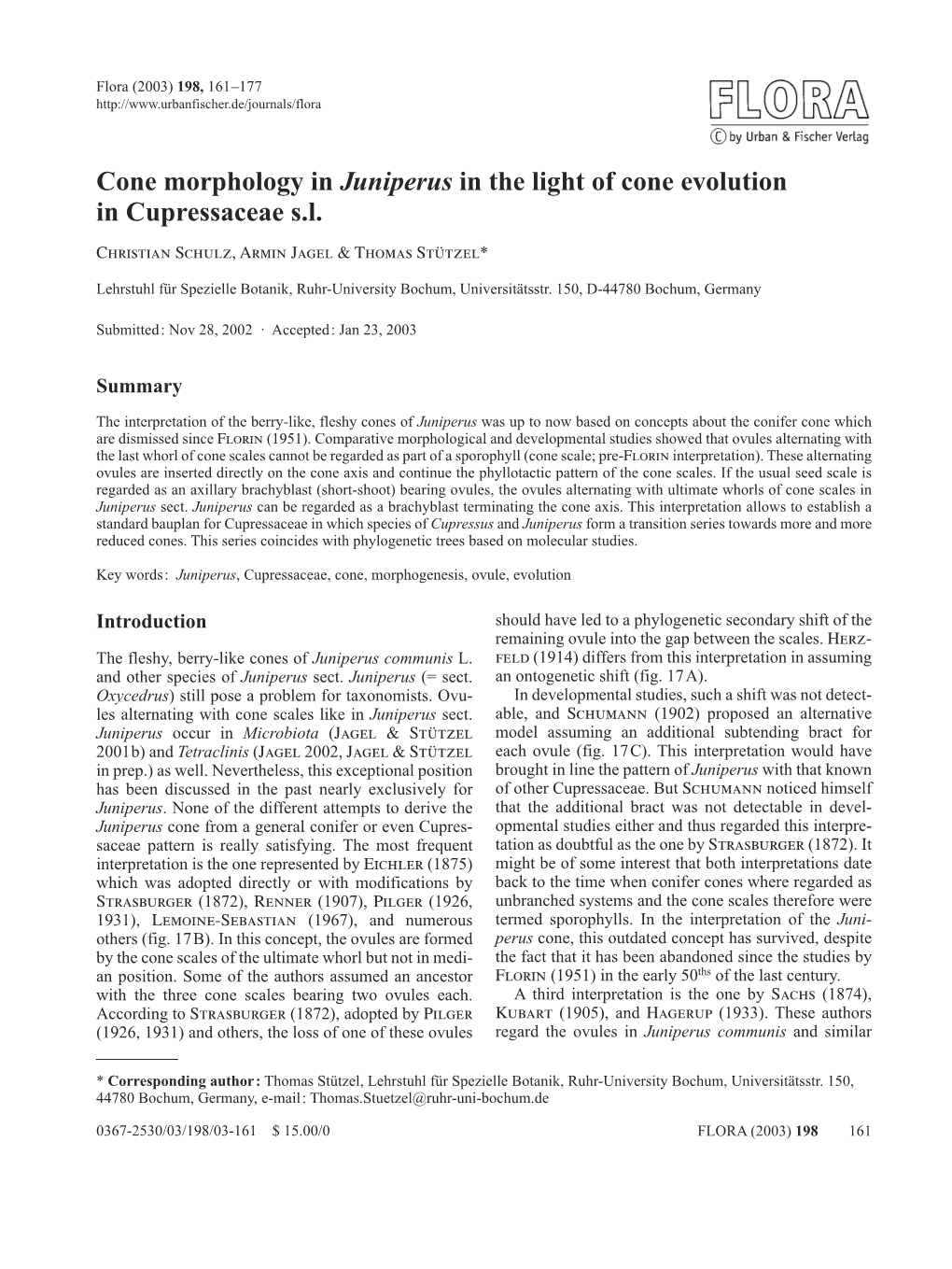 Cone Morphology in Juniperus in the Light of Cone Evolution in Cupressaceae S.L