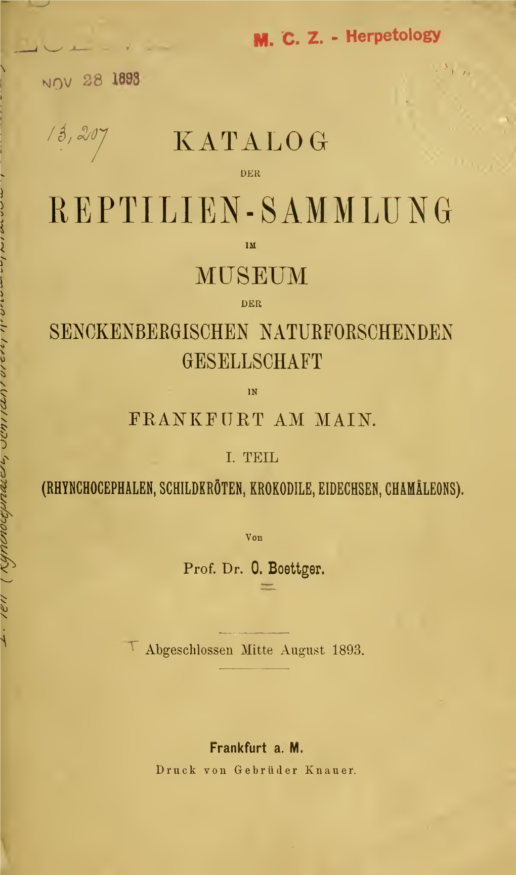 Reptilien-Sammlung Museum Der Senokenbergischen Natuefoeschenden Gesellschaft