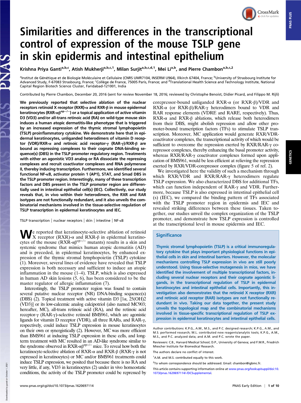 Similarities and Differences in the Transcriptional Control of Expression