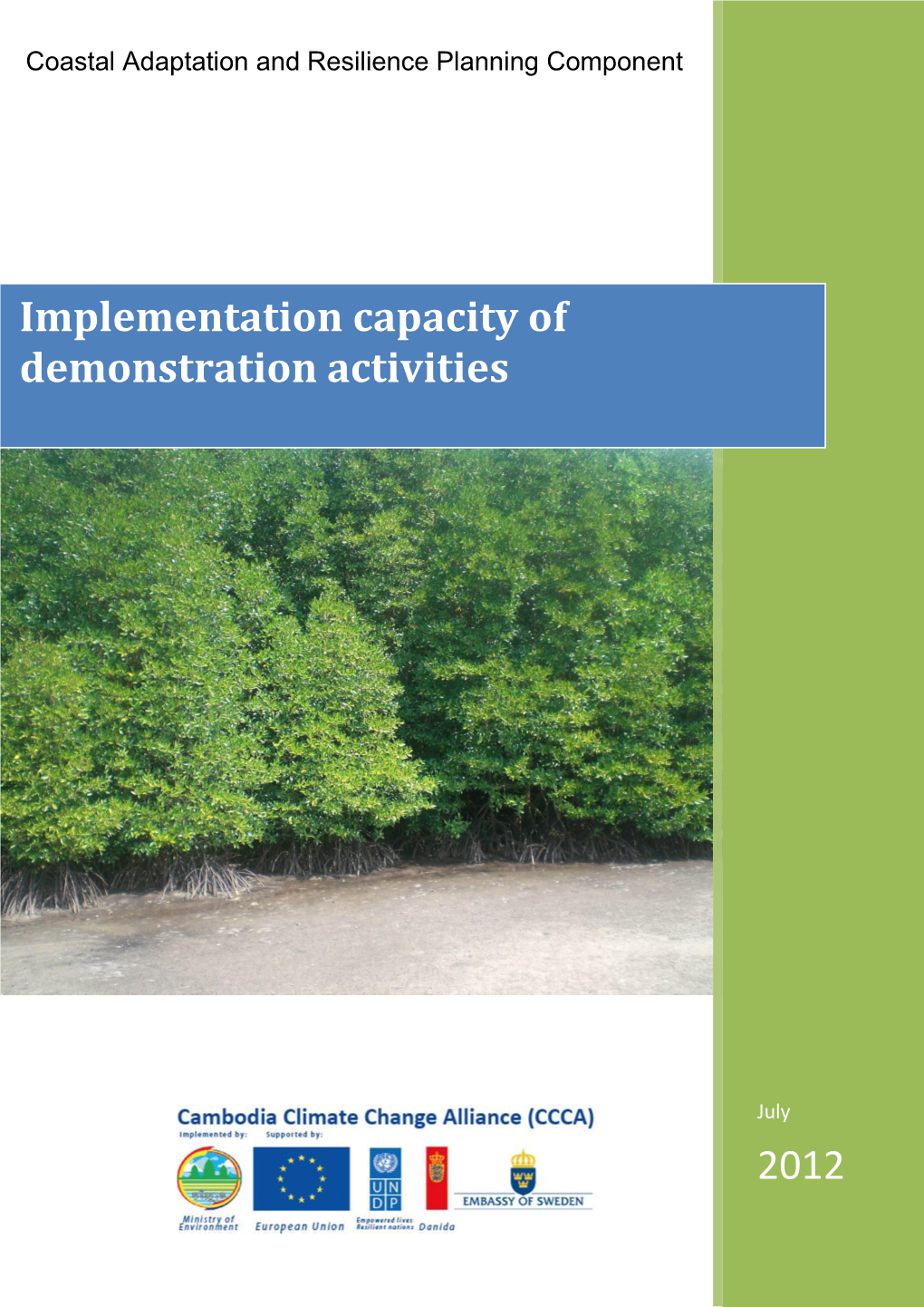 2012 Implementation Capacity of Demonstration Activities