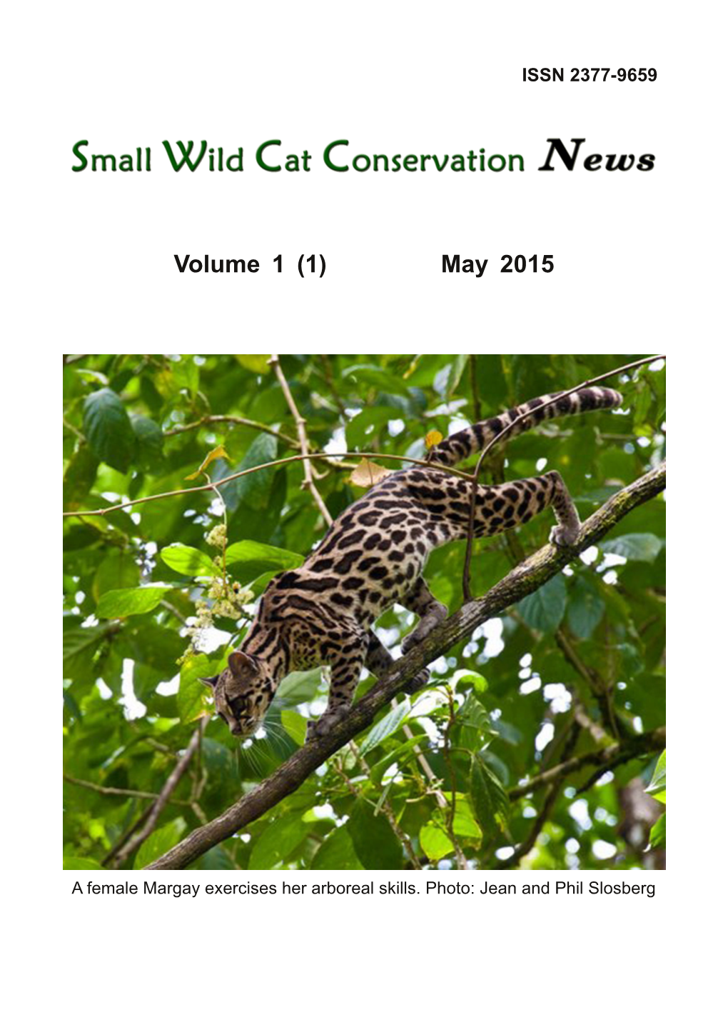 Small Wild Cat Conservation News