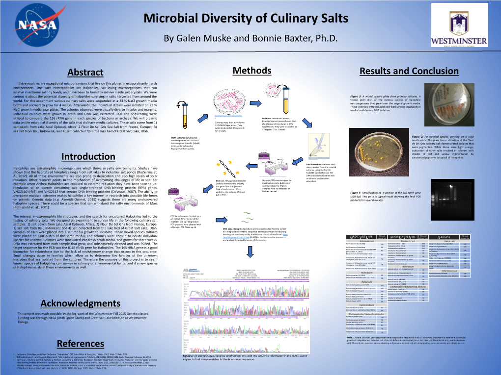 Microbial Diversity of Culinary Salts by Galen Muske and Bonnie Baxter, Ph.D