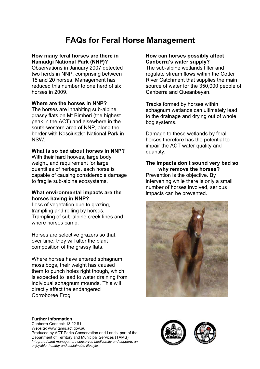 FAQ's for Feral Horse Management