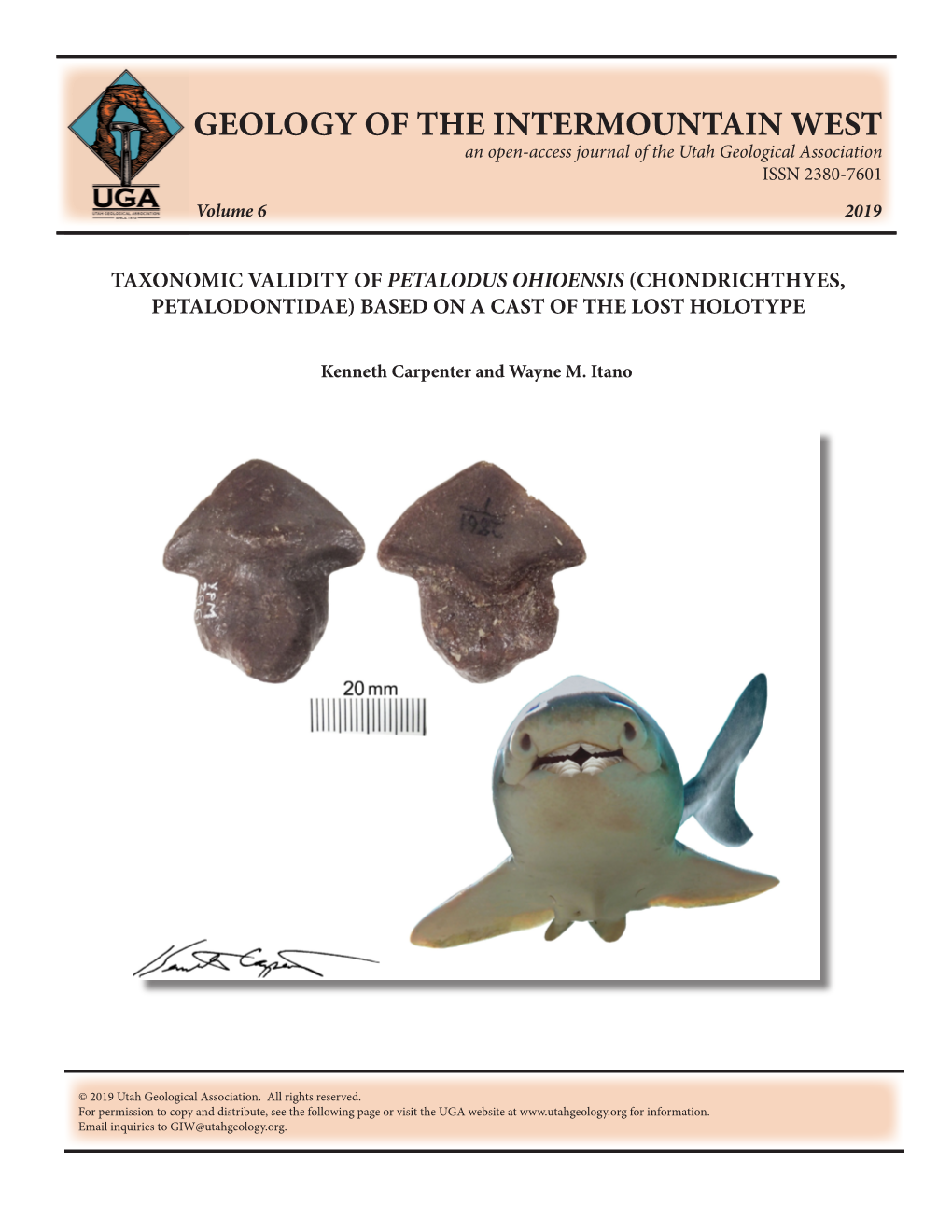 Taxonomic Validity of Petalodus Ohioensis (Chondrichthyes, Petalodontidae) Based on a Cast of the Lost Holotype