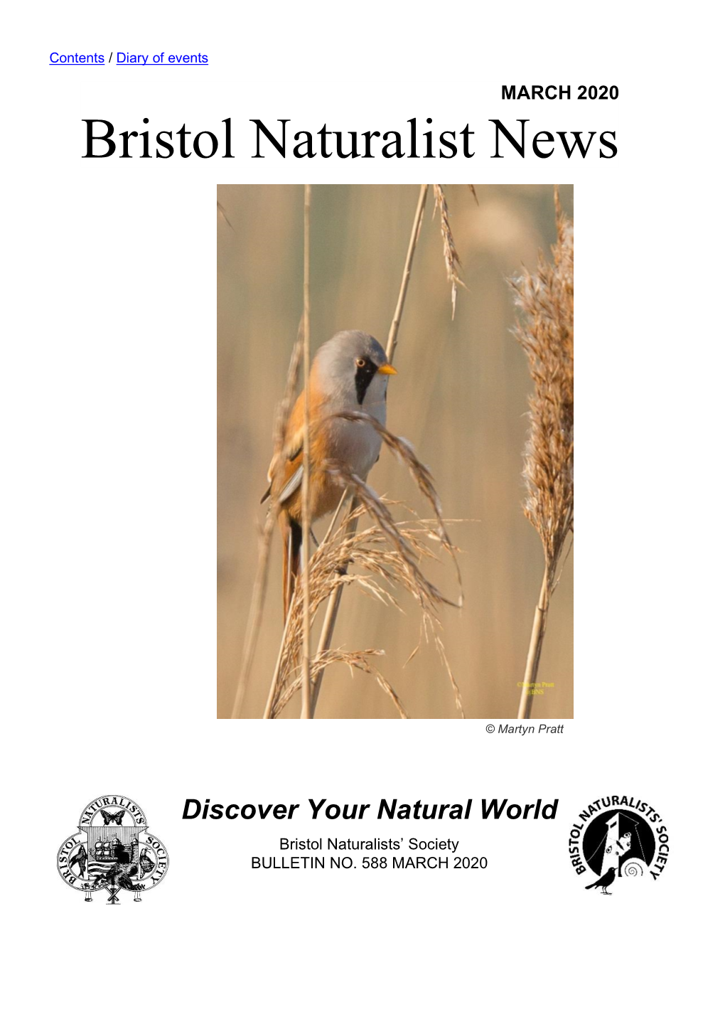 Bristol Naturalist News