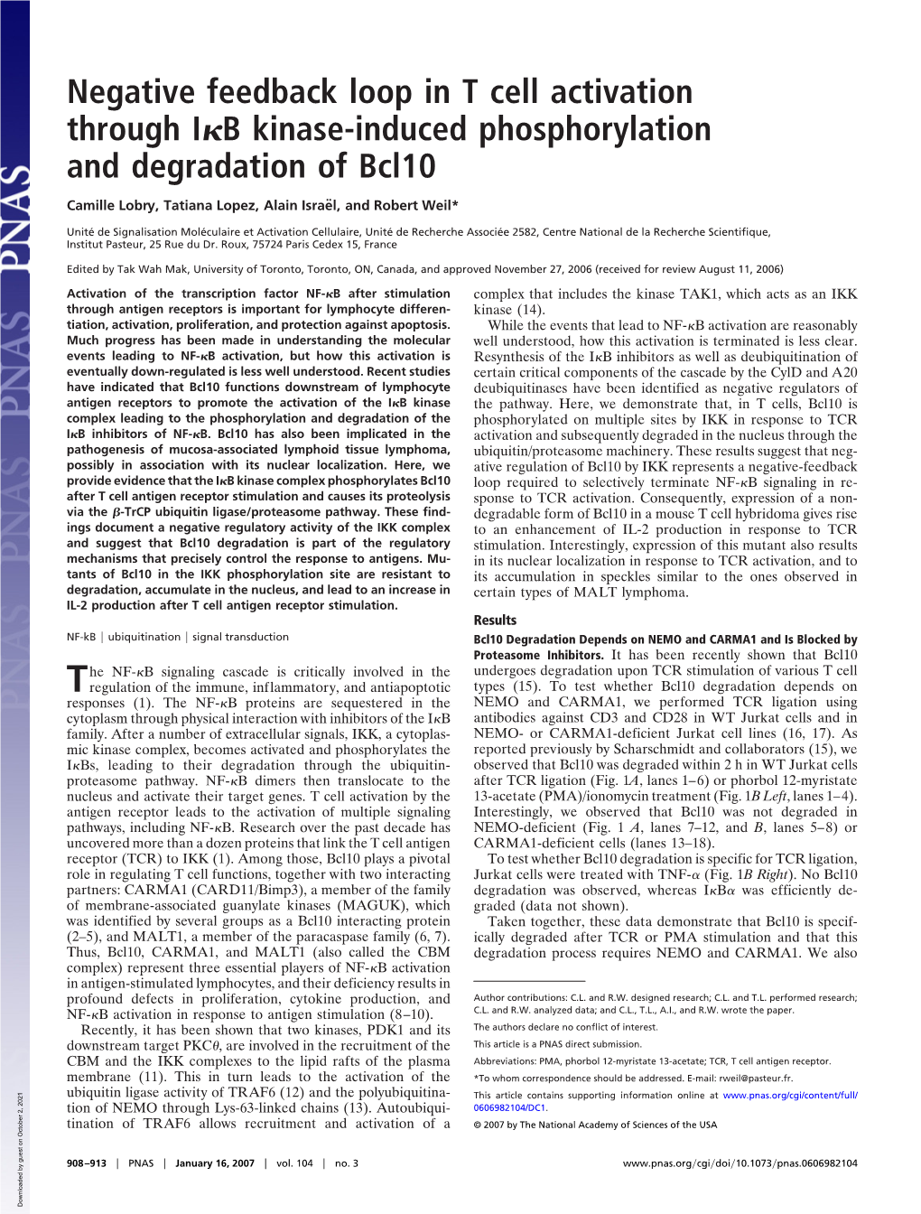 Negative Feedback Loop in T Cell Activation Through I B Kinase