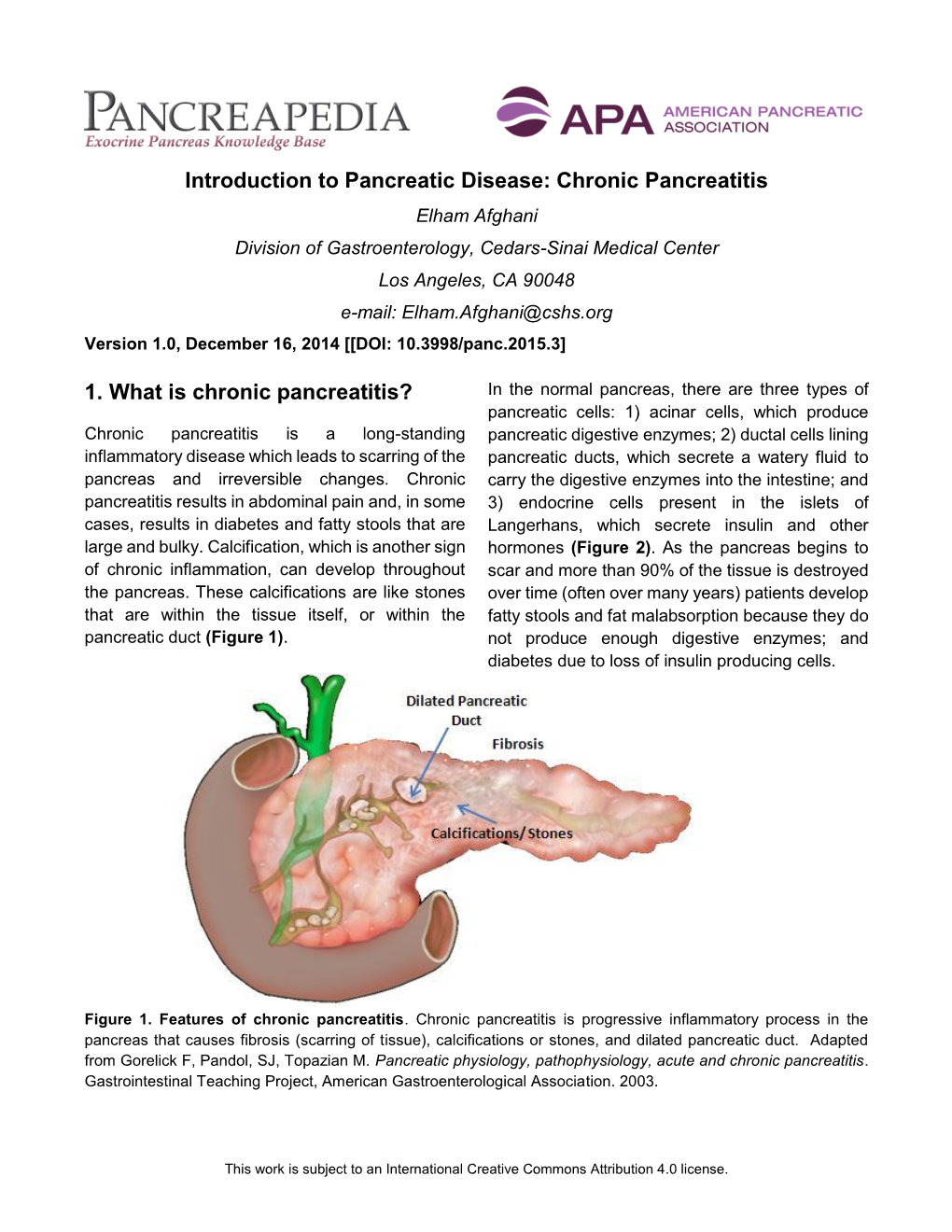 Introduction to Pancreatic Disease