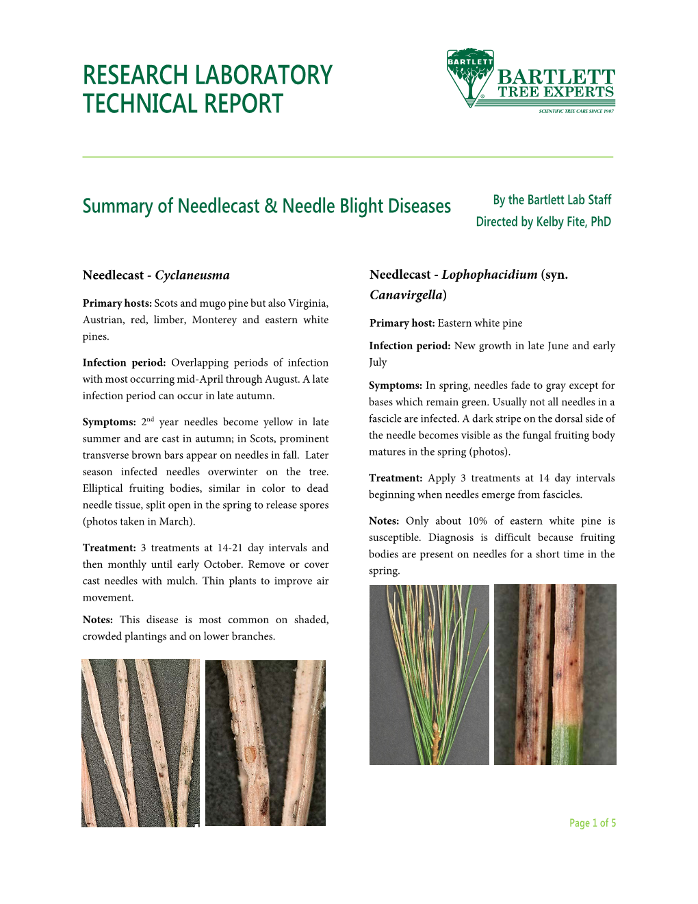 Summary of Needlecast and Needle Blight Diseases Needlecast- Lophodermium Seditiosum Needlecast- Rhabdocline