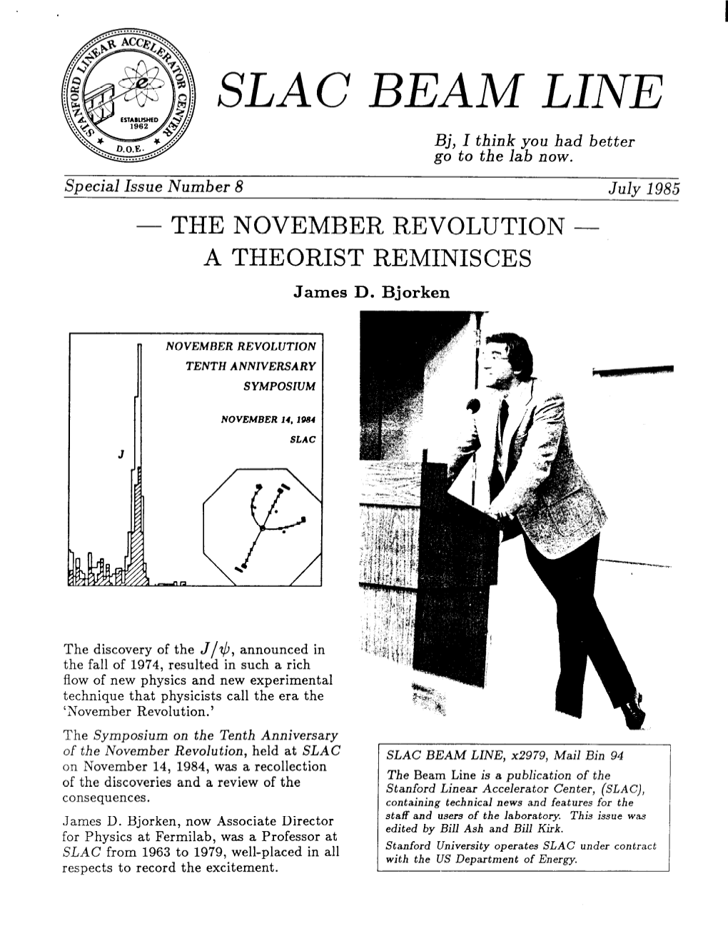 THE NOVEMBER REVOLUTION - a THEORIST REMINISCES James D