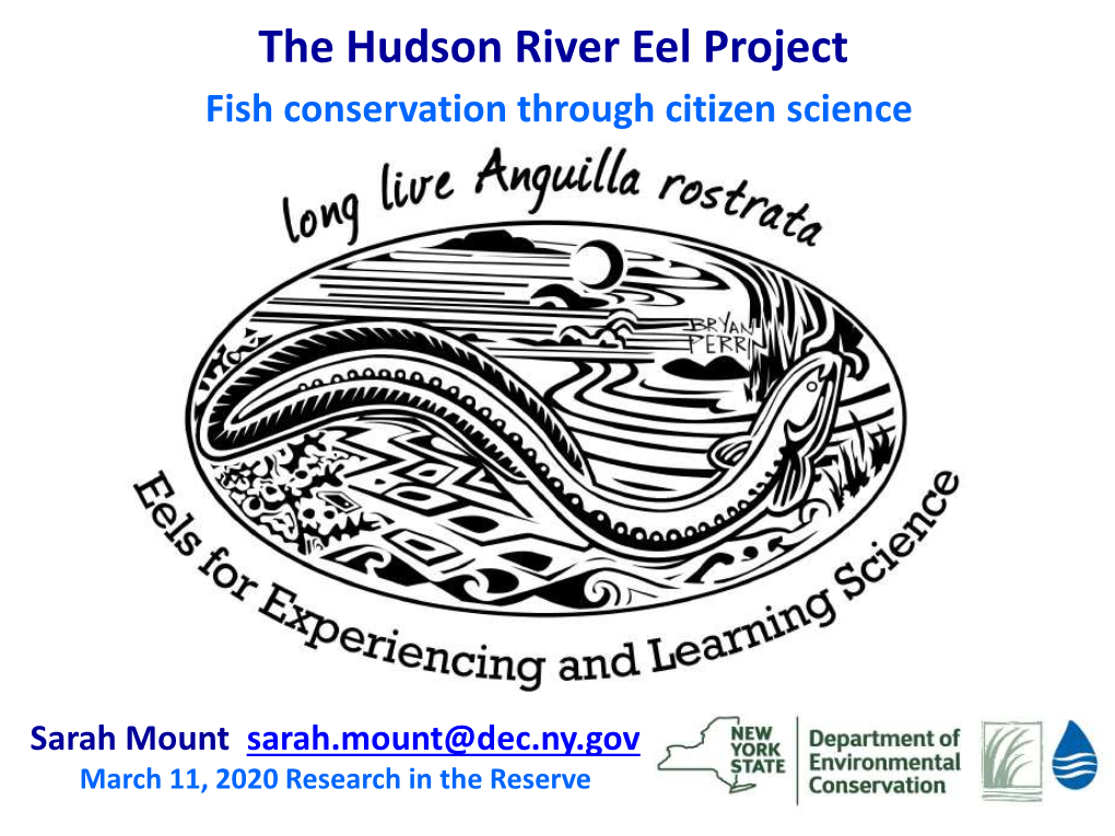 Citizen Science Eel Research