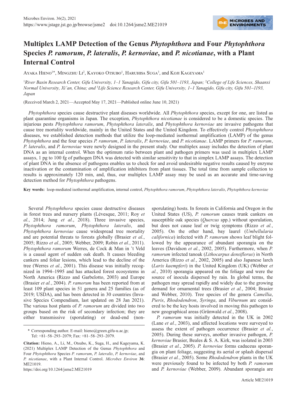 Multiplex LAMP Detection of the Genus Phytophthora and Four Phytophthora Species P. Ramorum, P. Lateralis, P. Kernoviae, and P