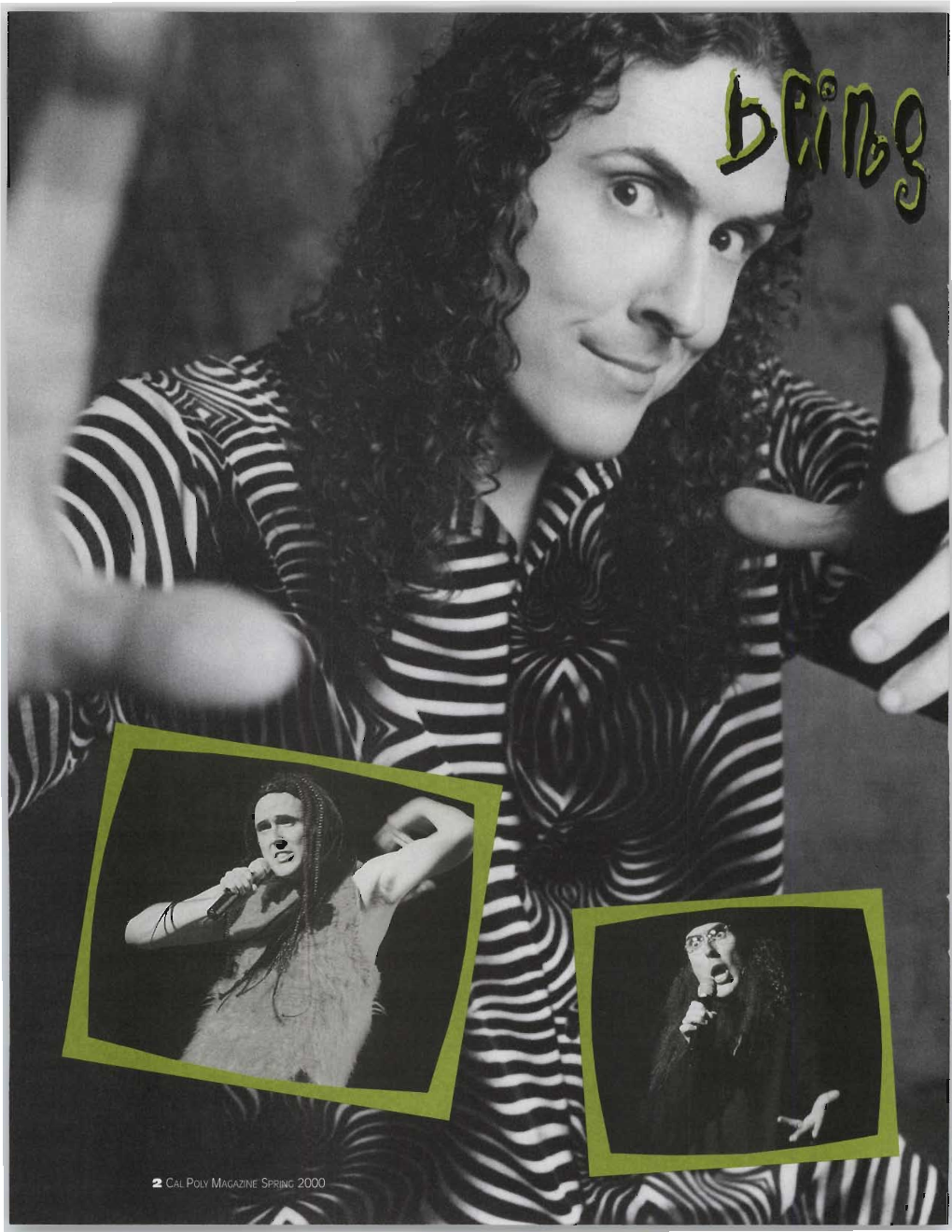 Being Al Yankovic