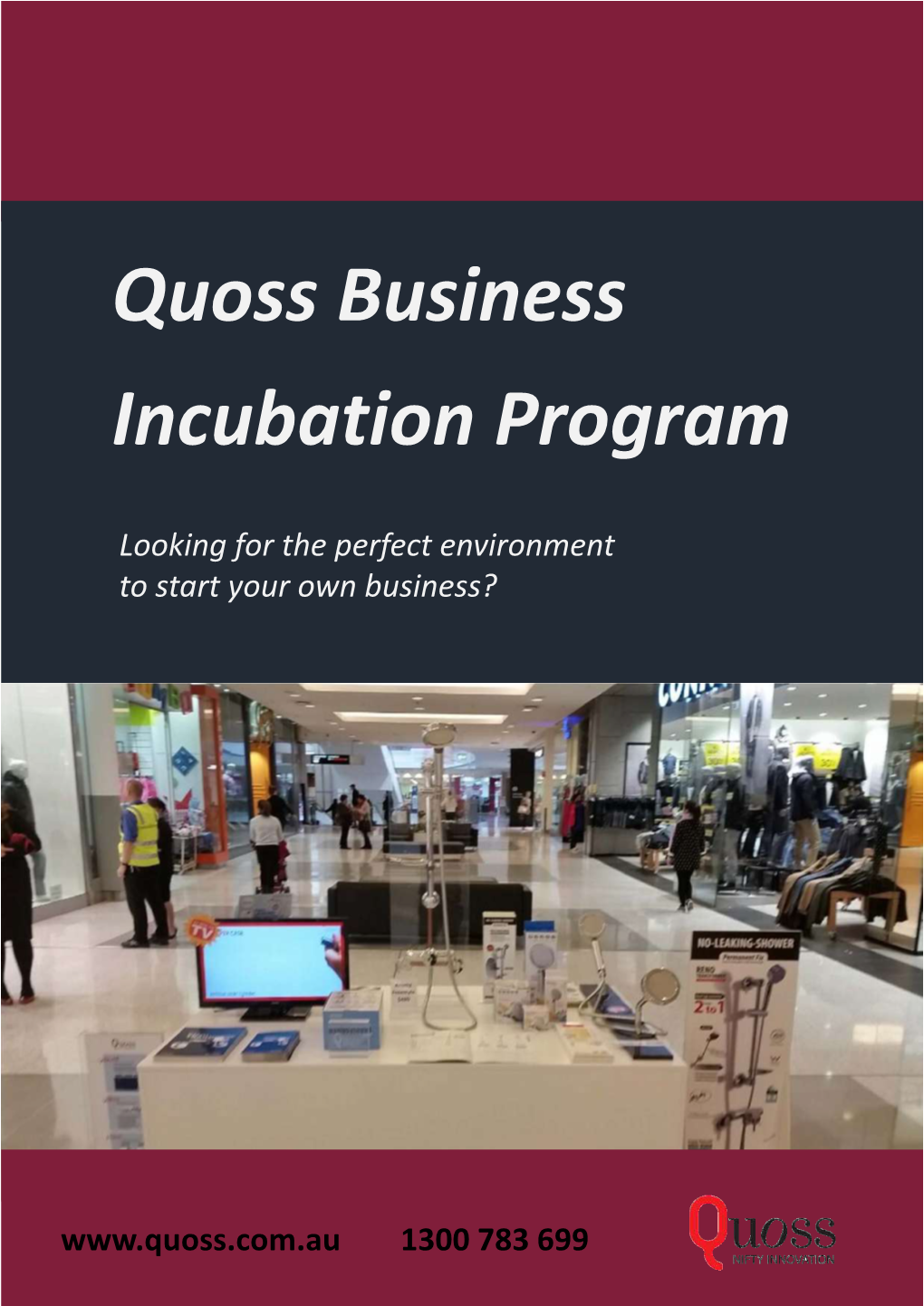 Quoss Business Incubation Program