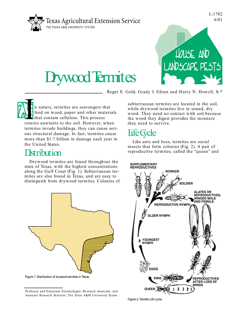 Drywood Termites Roger E