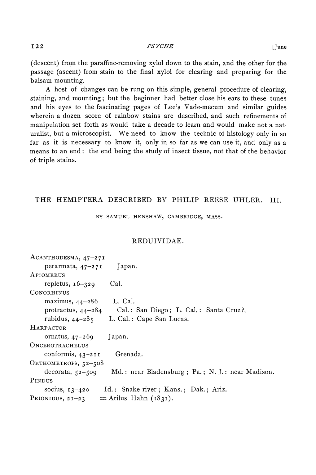 PRIONIDUS 2 I--2 3 Arilus Hahn (83I)