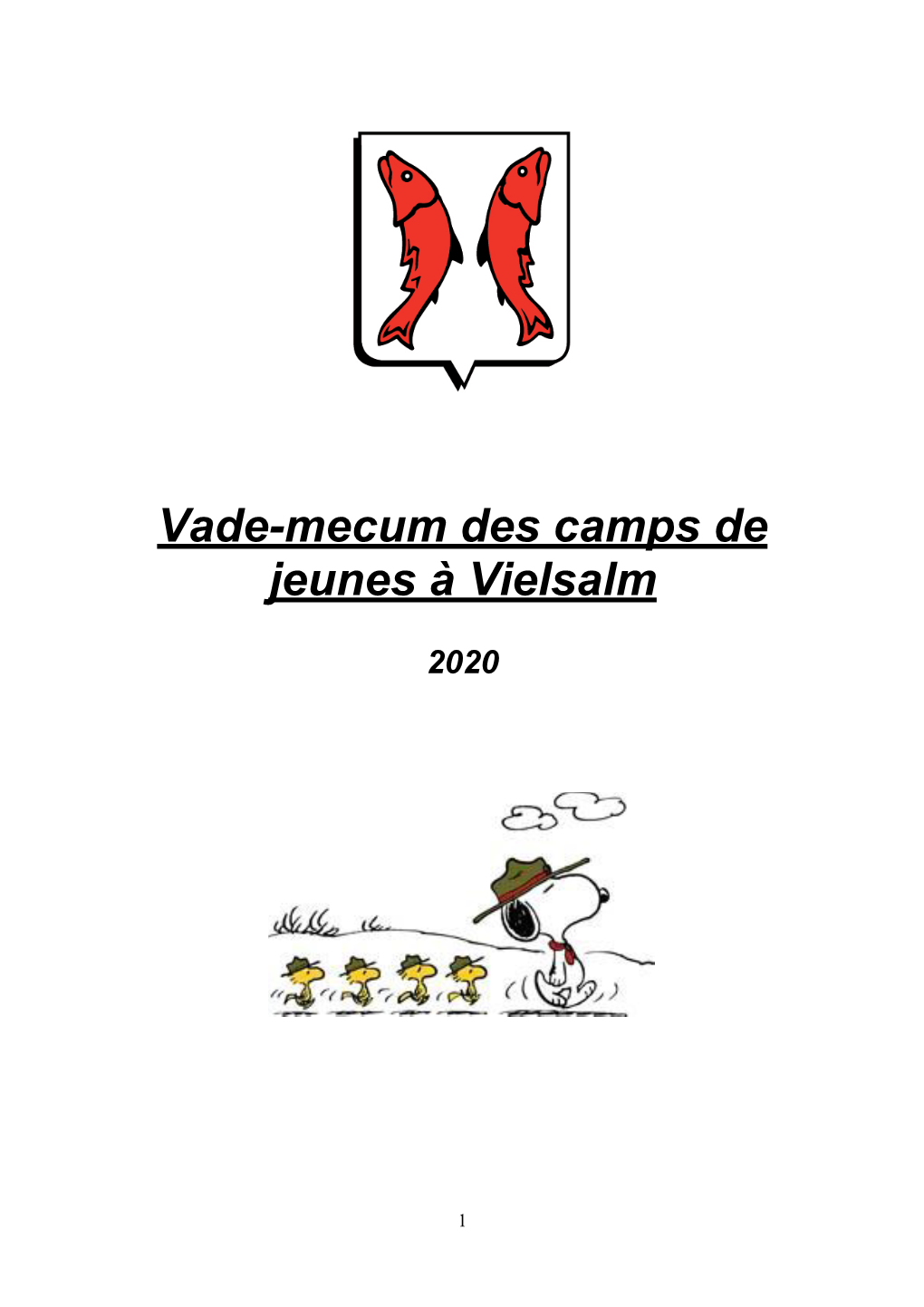 Vade-Mecum Des Camps De Jeunes À Vielsalm