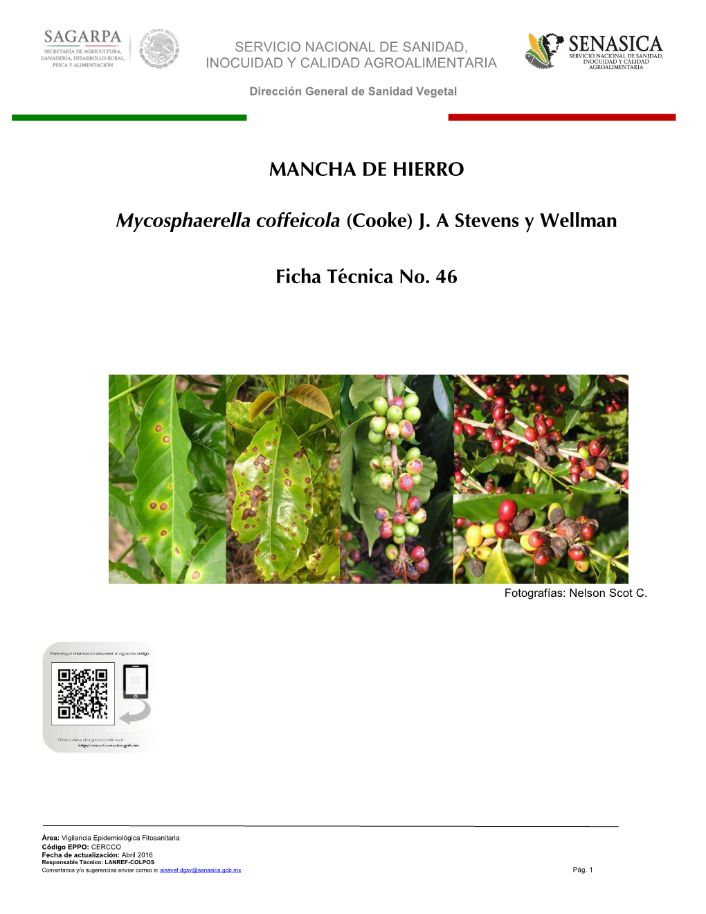MANCHA DE HIERRO Mycosphaerella Coffeicola (Cooke) J. a Stevens Y Wellman Ficha Técnica No. 46