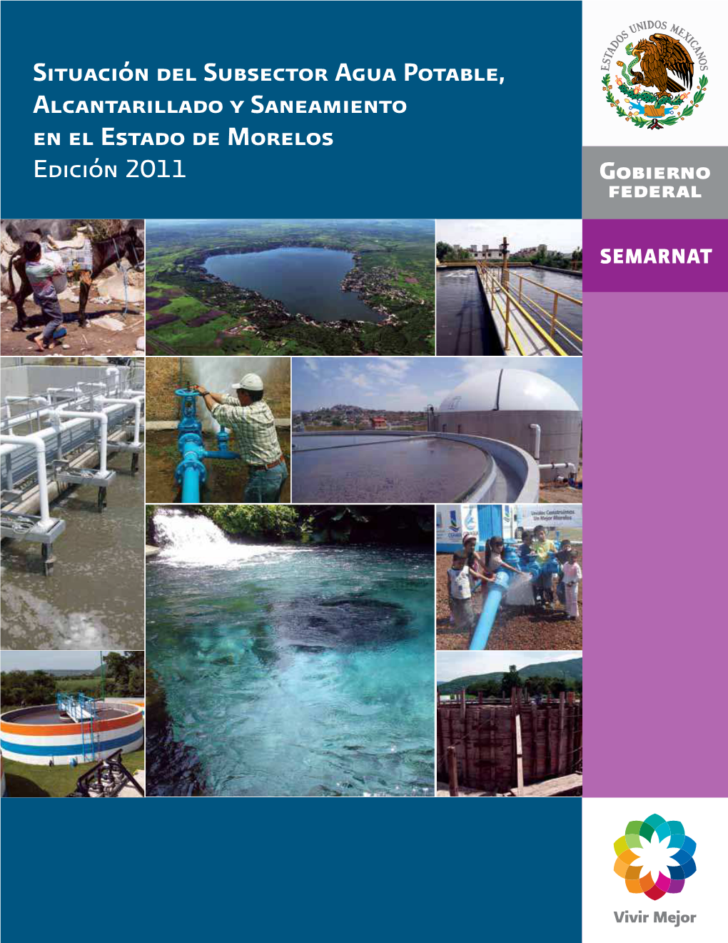 Situación Del Subsector Agua Potable, Alcantarillado Y Saneamiento En El Estado De Morelos Edición 2011