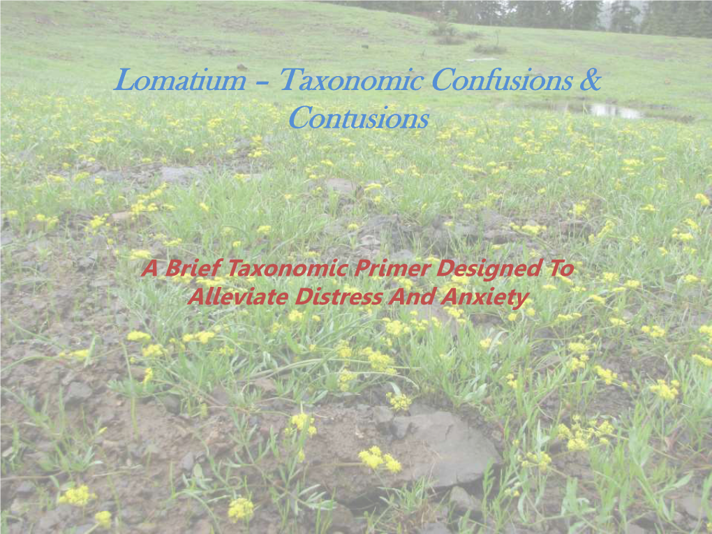 Lomatium – Taxonomic Confusions & Contusions