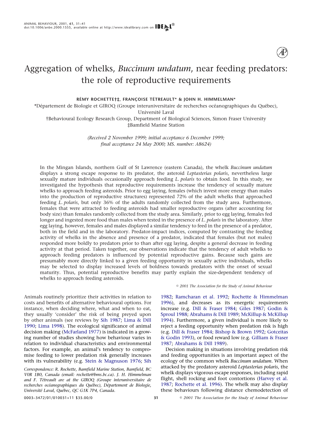 Aggregation of Whelks, Buccinum Undatum, Near Feeding Predators: the Role of Reproductive Requirements