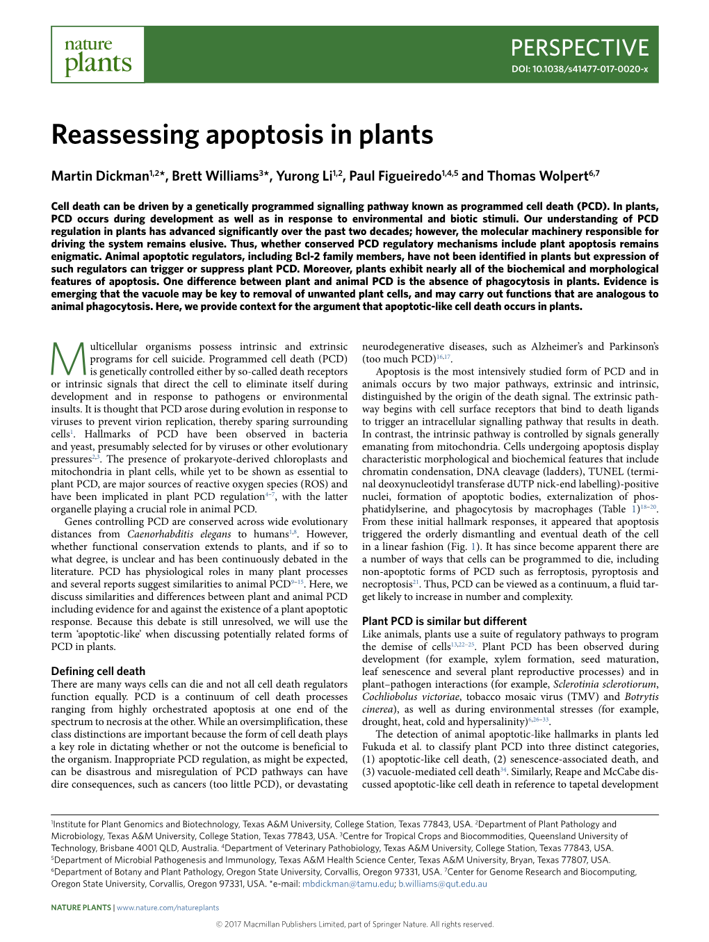 Reassessing Apoptosis in Plants