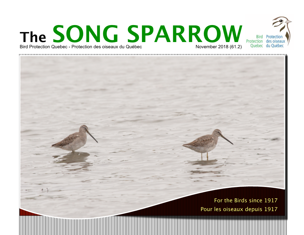 The SONG SPARROW Bird Protection Quebec - Protection Des Oiseaux Du Québec November 2018 (61.2)