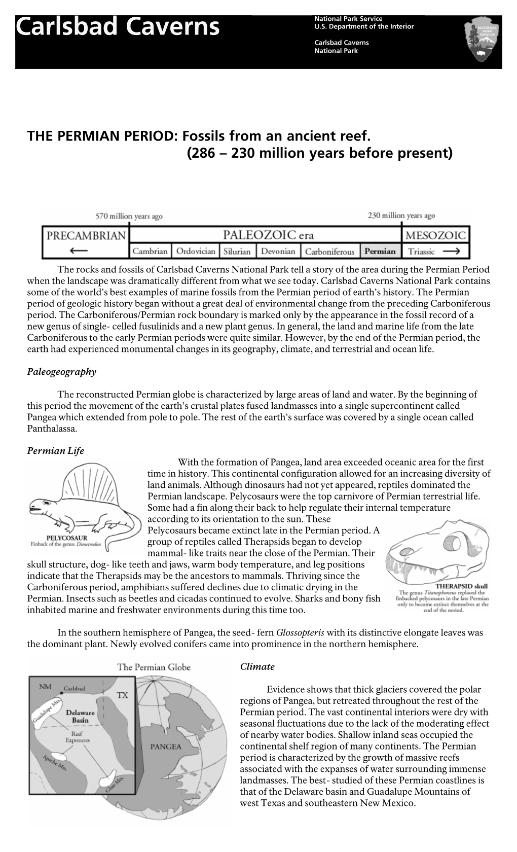 Permian World Brochure