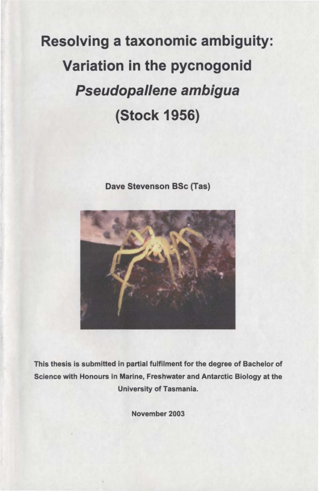 Variation in the Pycnogonid Pseudopallene Ambigua (Stock 1956)