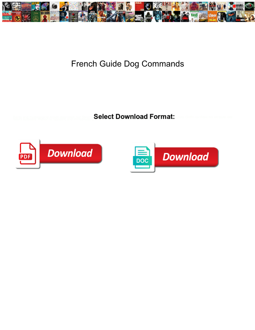 French Guide Dog Commands