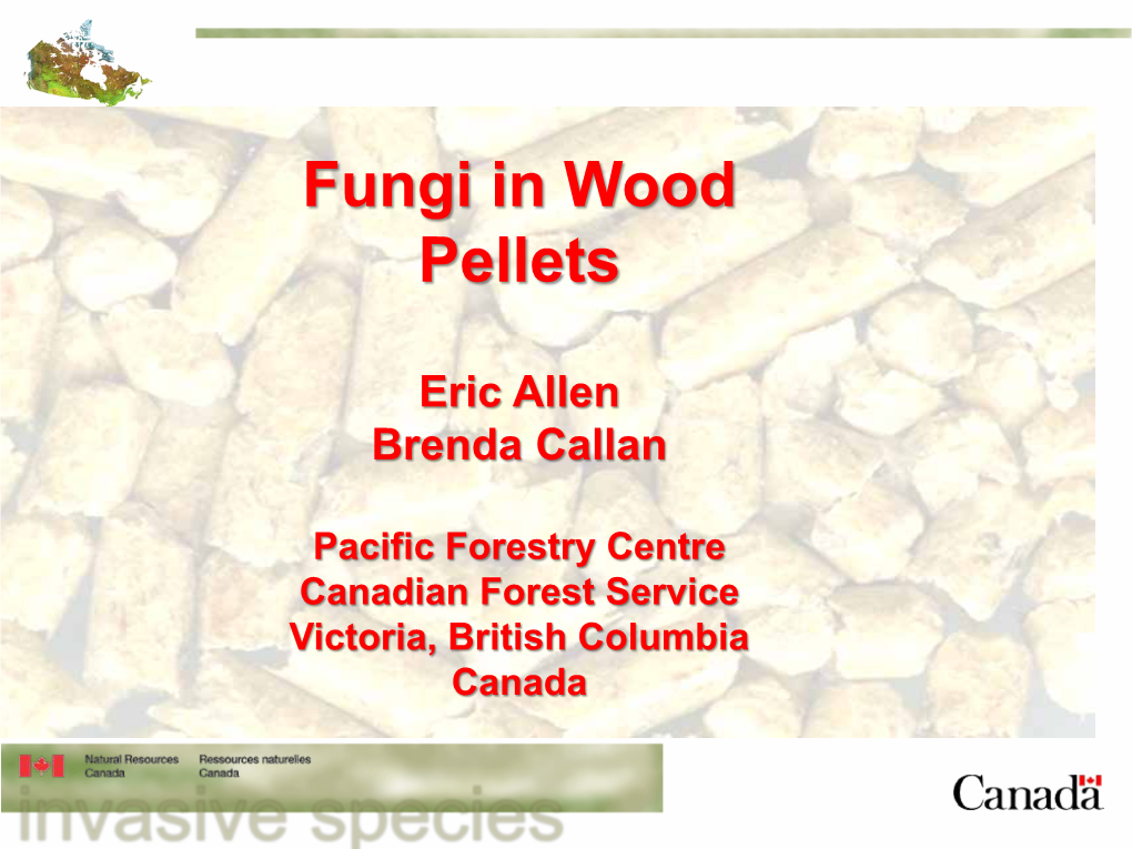 Fungi in Wood Pellets