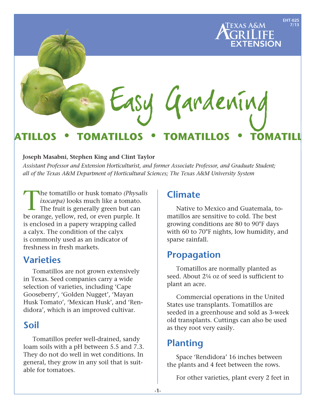 Tomatillos • Tomatillos • Tomatill