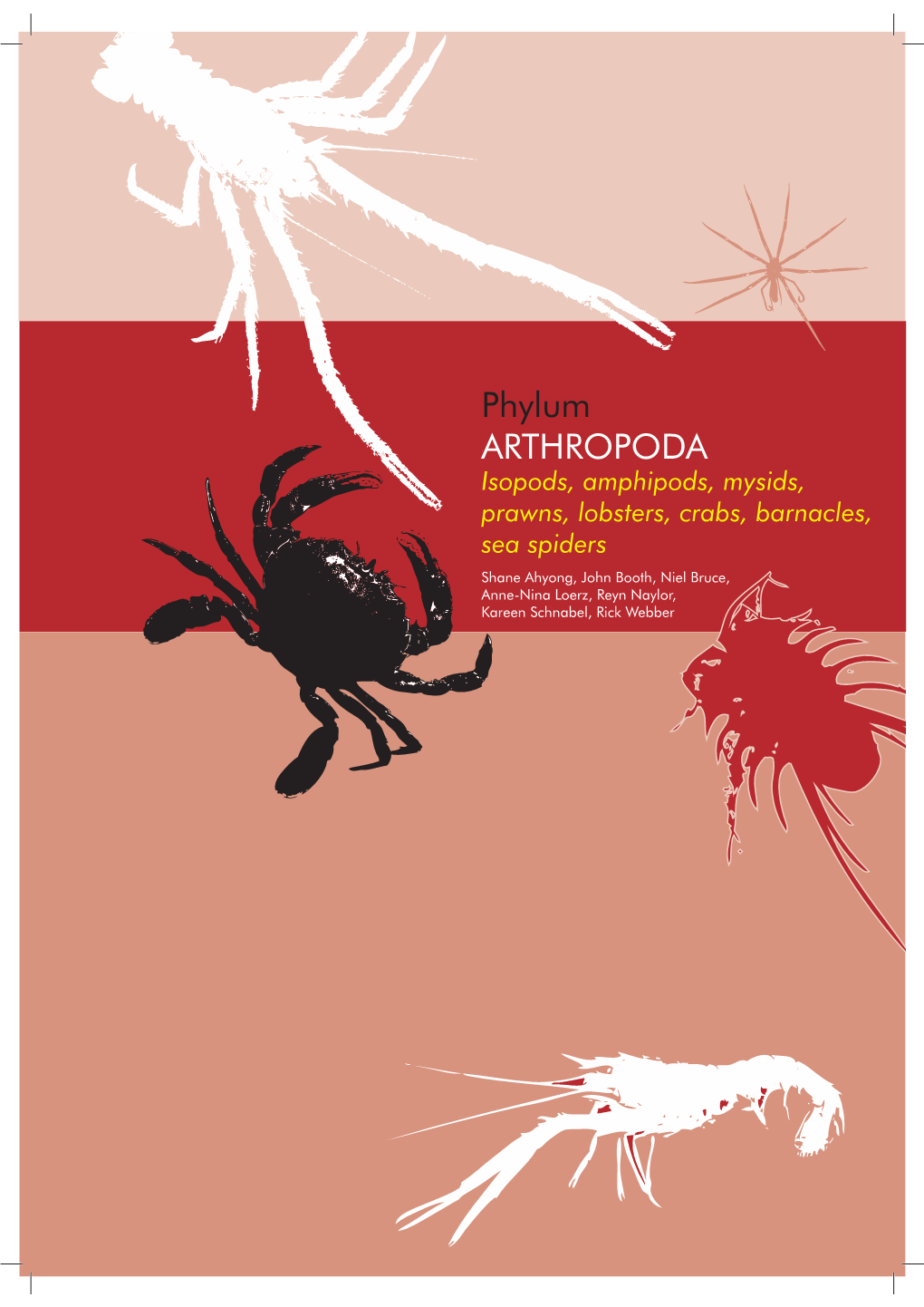 Phylum ARTHROPODA