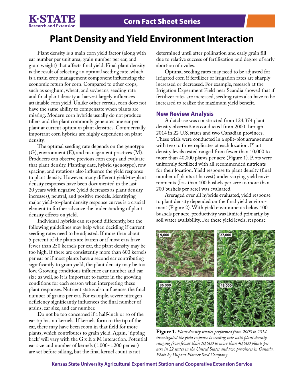 MF3389 Plant Density and Yield Environment Interaction