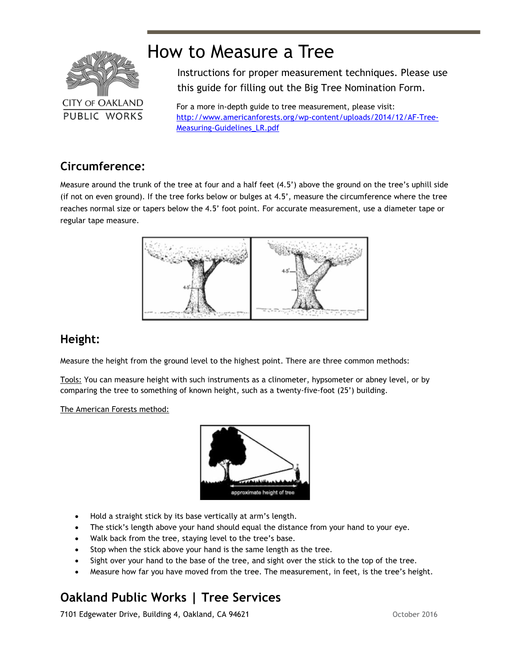 How to Measure a Tree Instructions for Proper Measurement Techniques