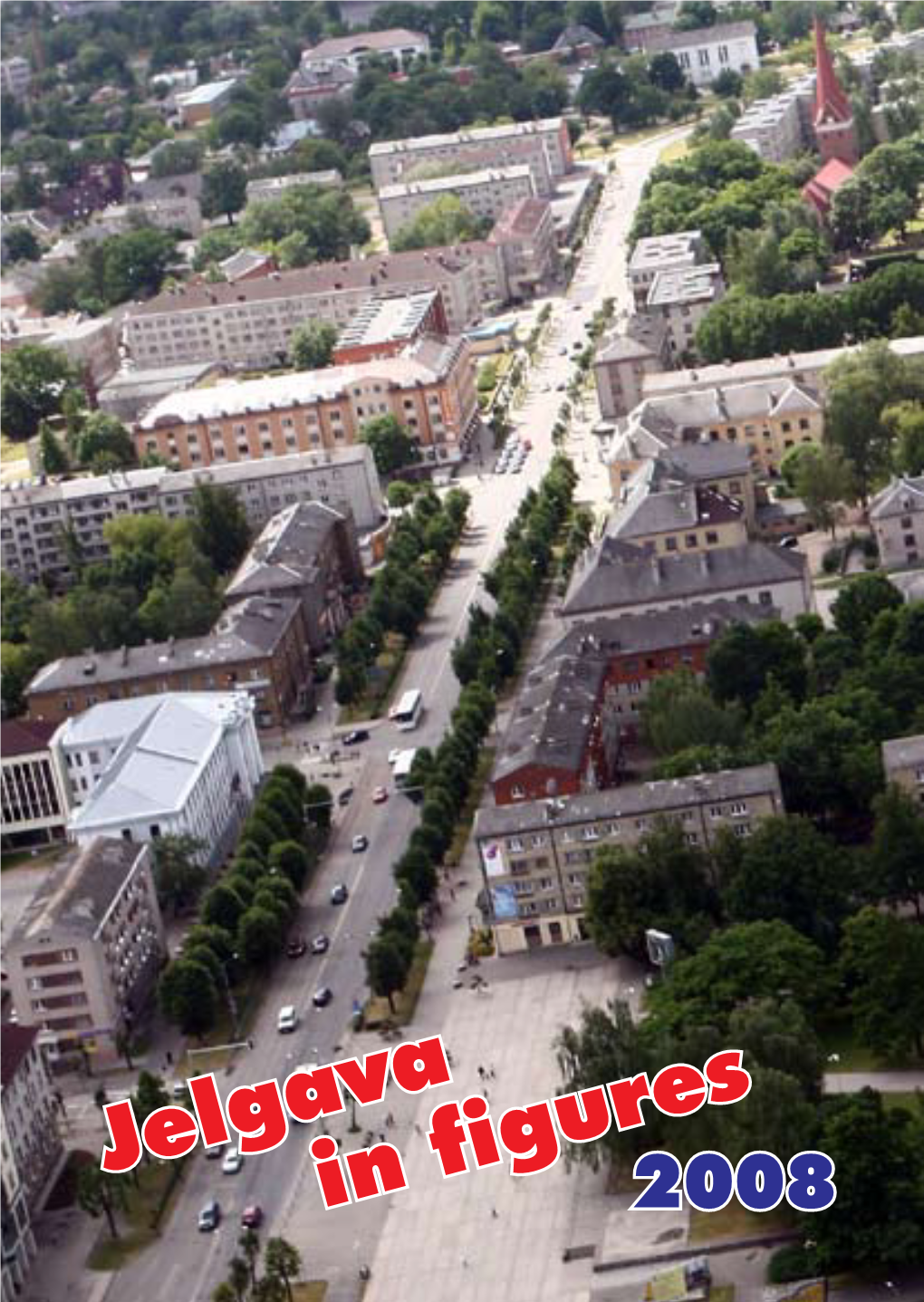 Jelgava in Figures for 2008