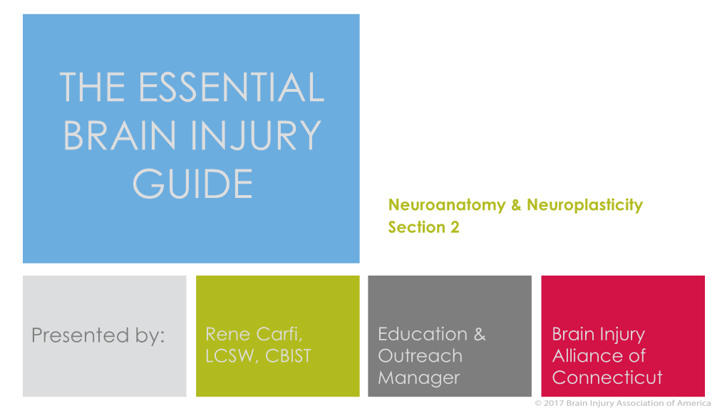 Spinal Cord; Spinal Cord Injury