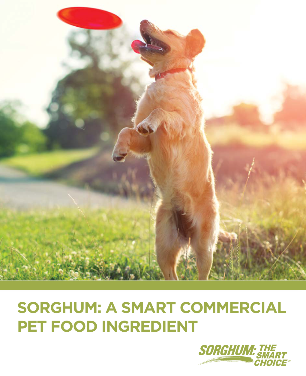 Sorghum: a Smart Commercial Pet Food Ingredient 2 Primary Reasons to Include 4 Sorghum in Your Formulations