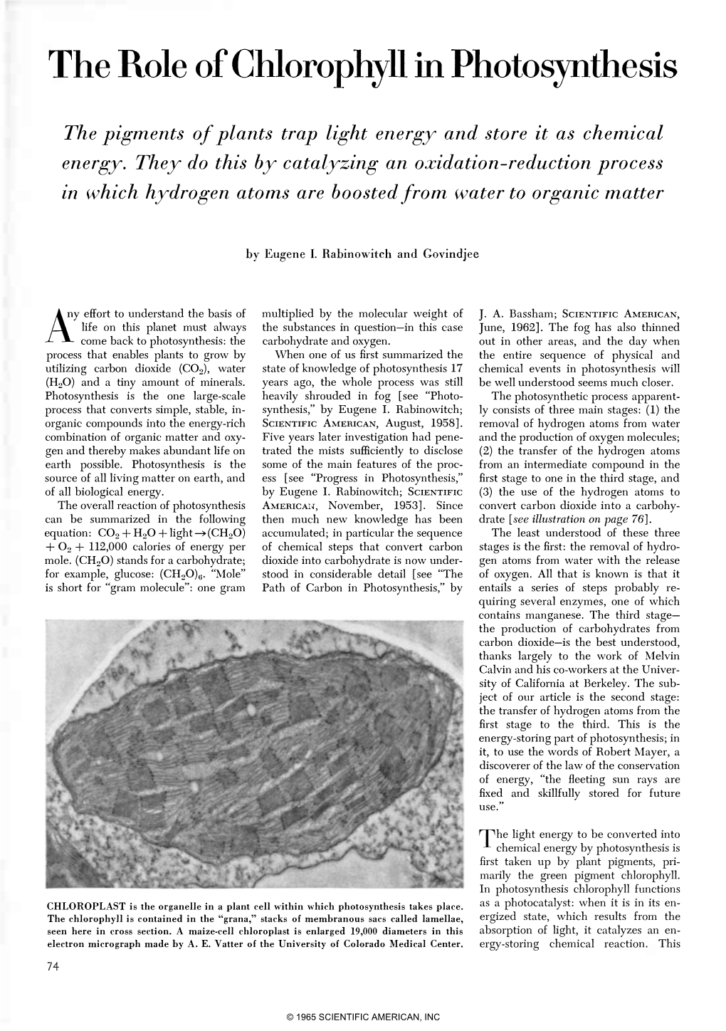 the-role-of-chlorophyll-in-photosynthesis-docslib