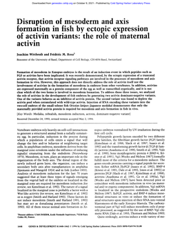 The Role of Maternal Activin